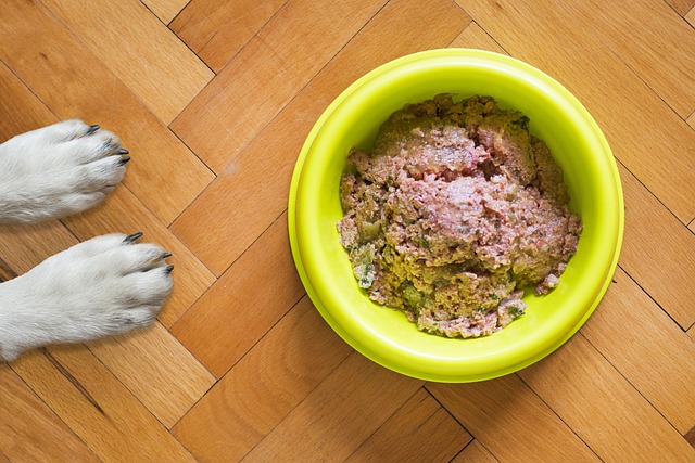 Glutenfri hundemad: Fordele og ulemper for din hunds helbred